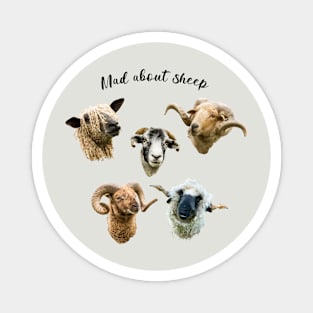 Mad About Sheep Magnet